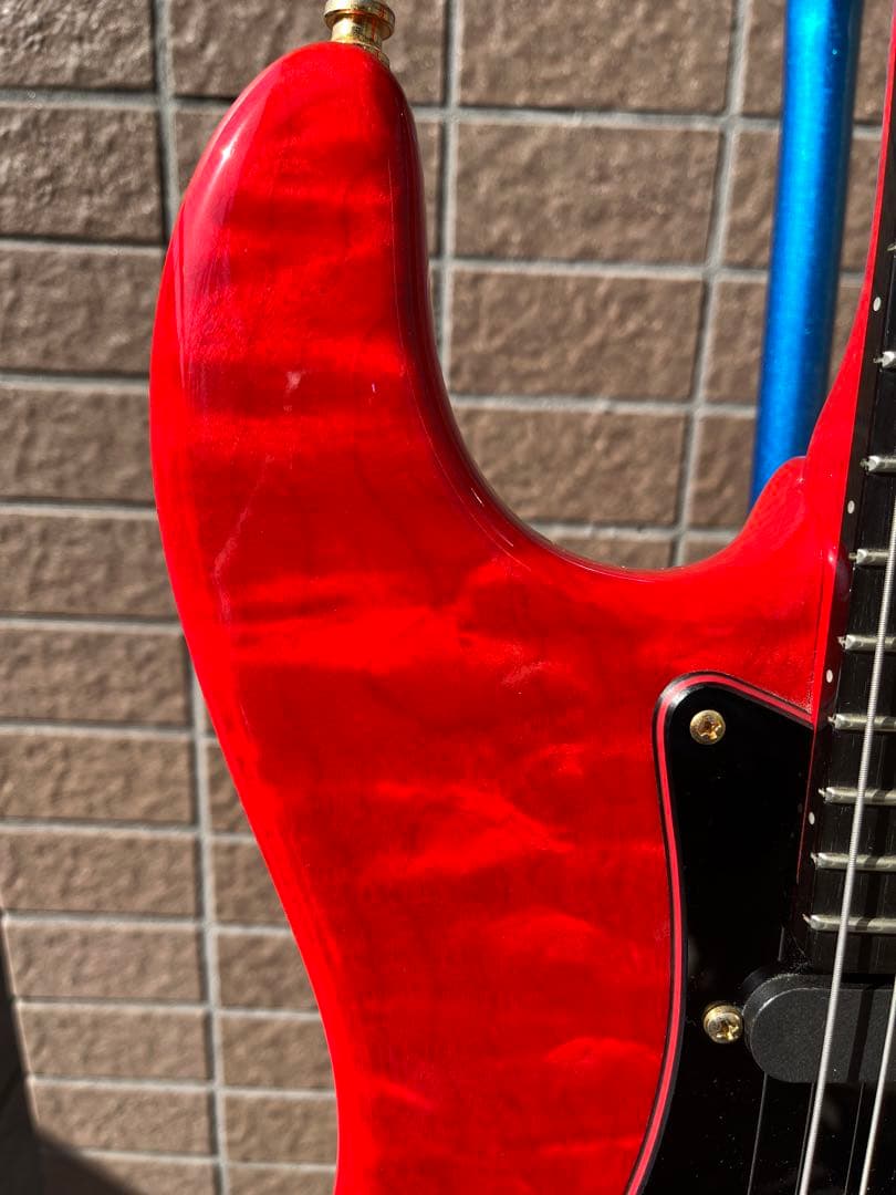 超人気の Valleyarts CUSTOM PRO エレキギター - boothype.com