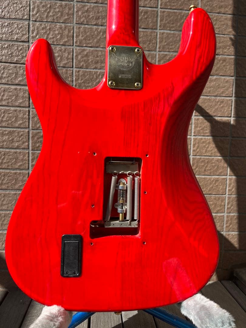 超人気の Valleyarts CUSTOM PRO エレキギター - boothype.com