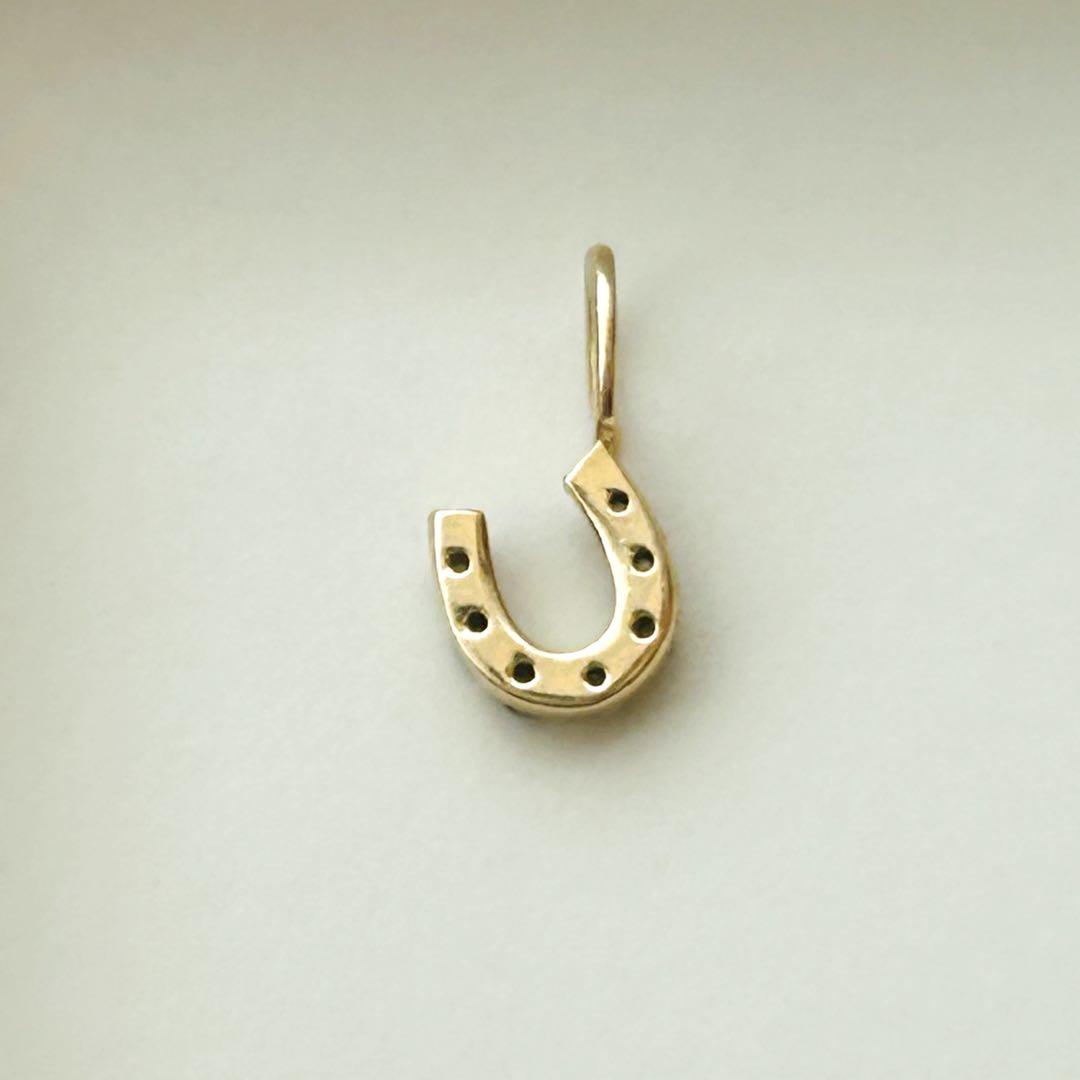 ホースシューチャーム0.04ct