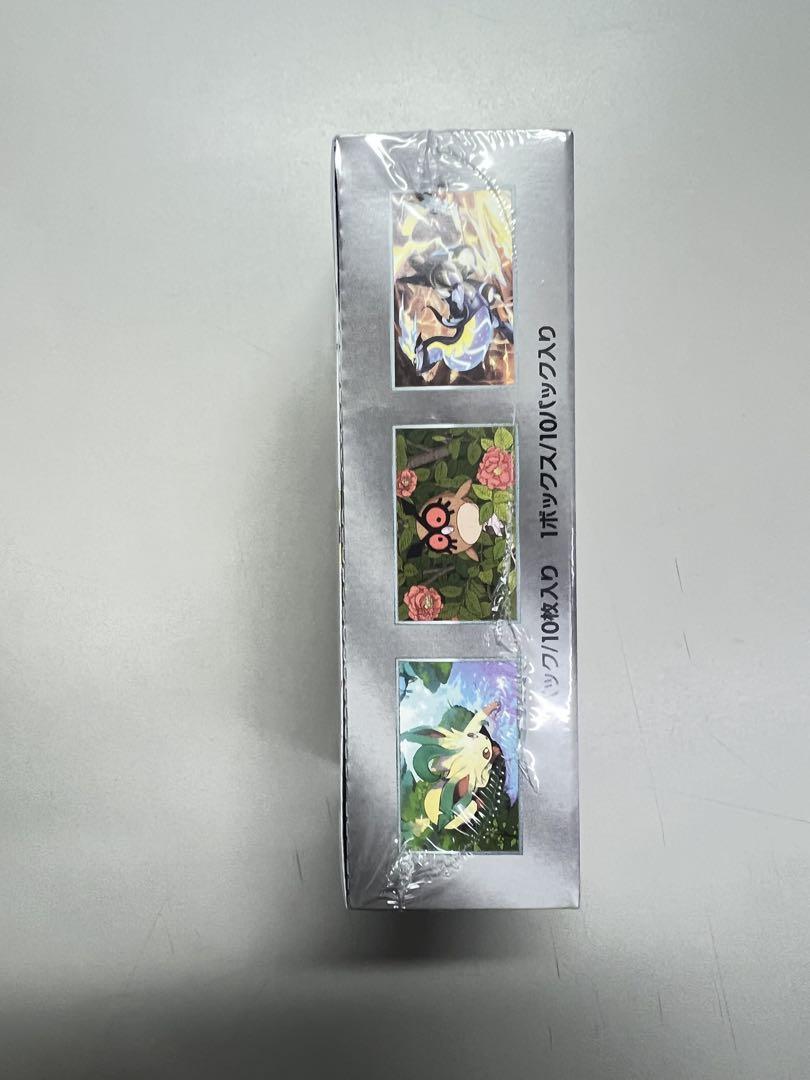 ポケモンカードゲーム テラスタルフェスEX シュリンク付き新品未開封1box
