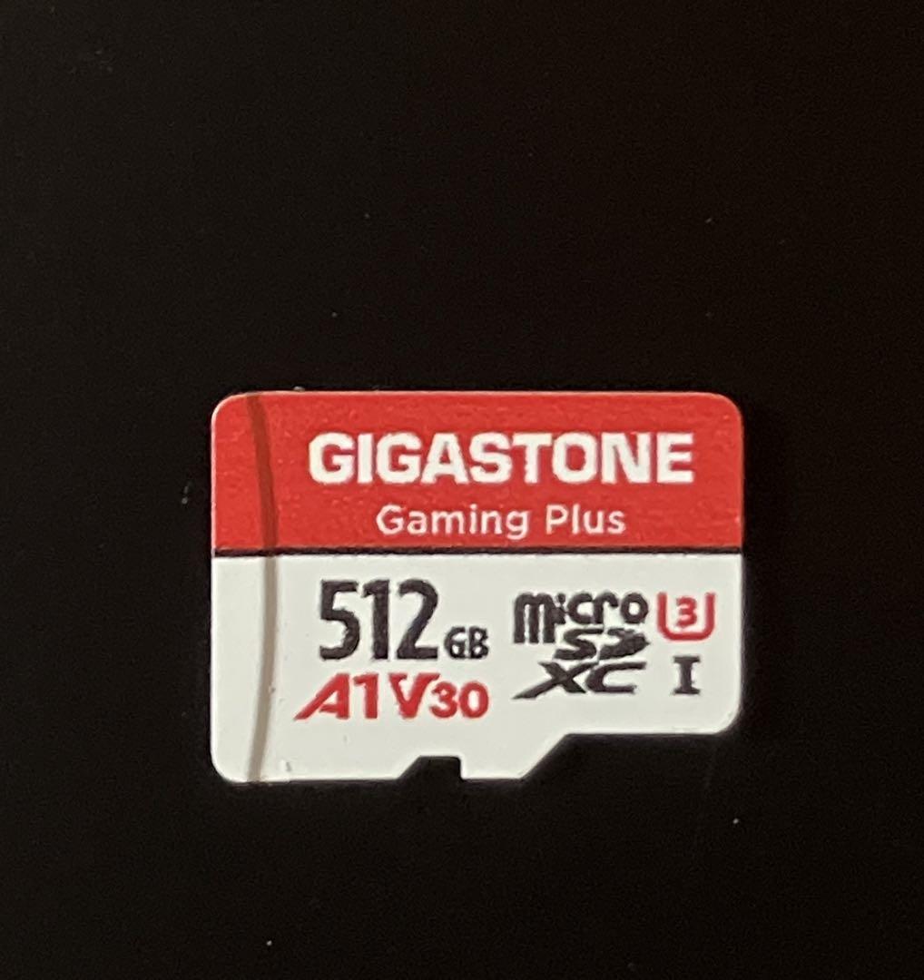 Nintendo Switch 本体 + 周辺機器（SDカード512GB付）