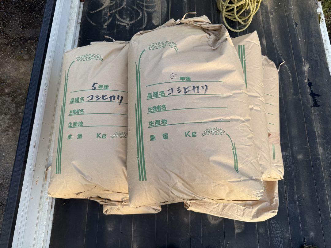 ★送料無料★令和5年産コシヒカリ　10kg 茨城県