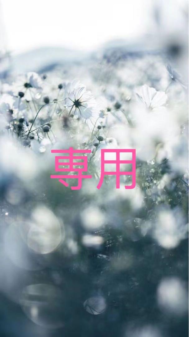 なっち様専用