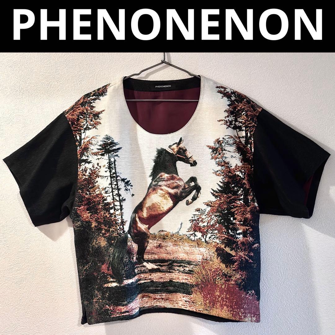 PHENONENON ホース Tシャツ プルオーバー ジャケット SIZE PHENOMENON