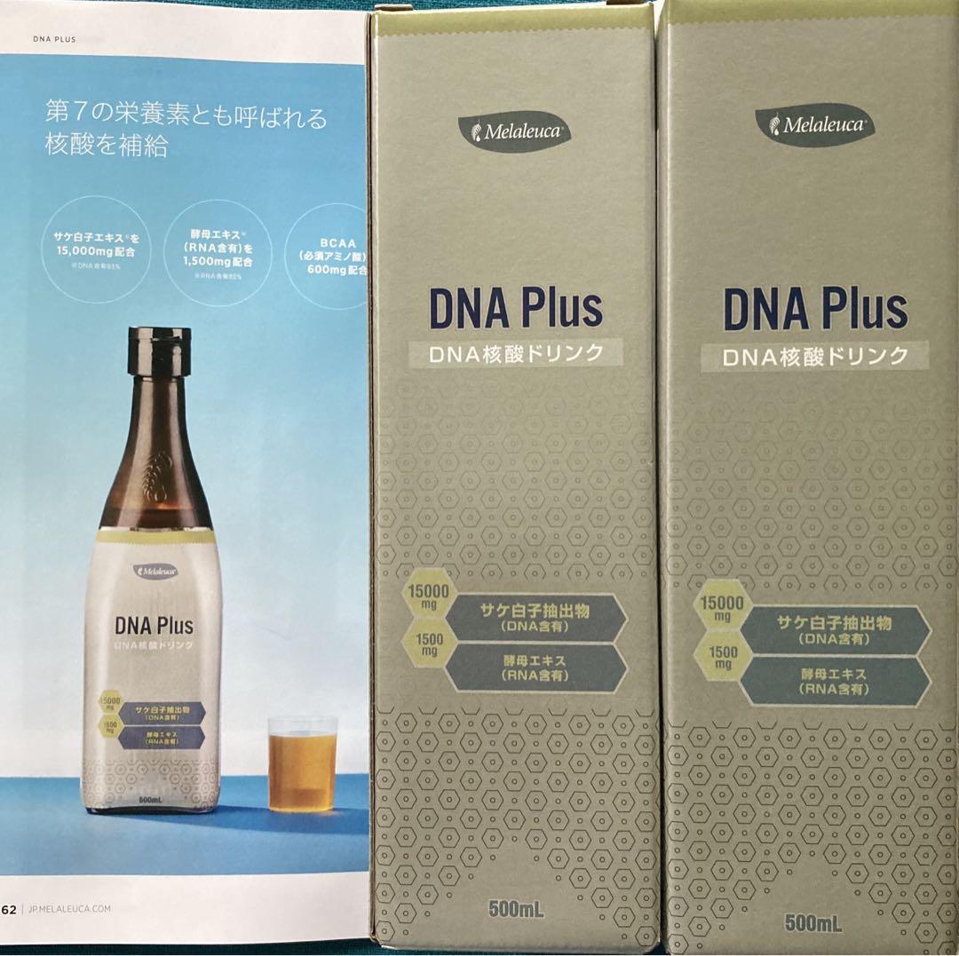 2本セット2026|02