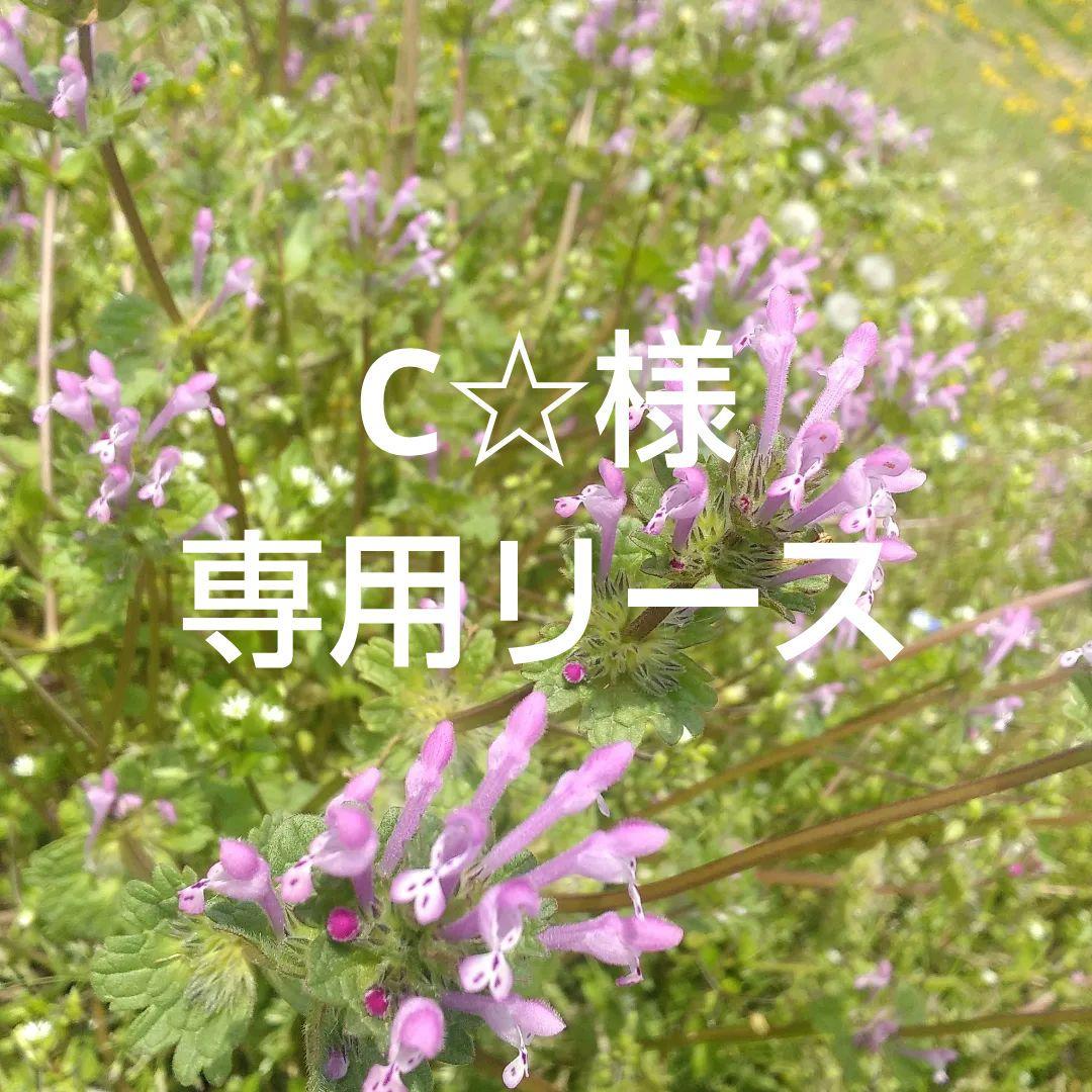 人気アイテム Hananaさまご購入品 リメイク缶 ティーポット お花畑の