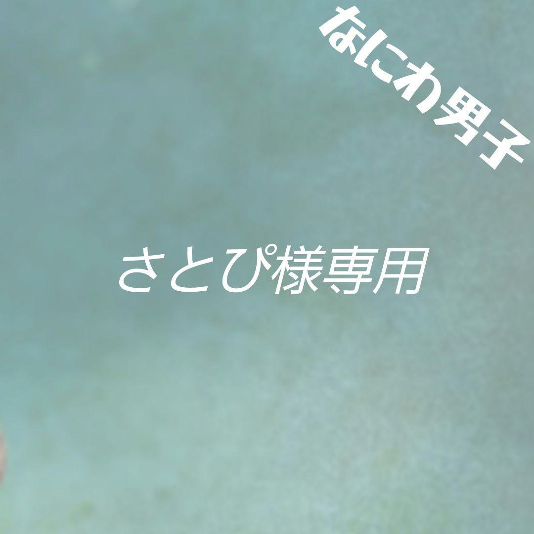 さとぴ様専用