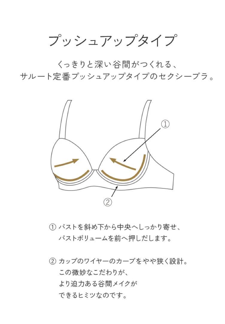 サルート　ブラジル　D70/M/M　P-upブラ　ソング　ガーターベルト　66