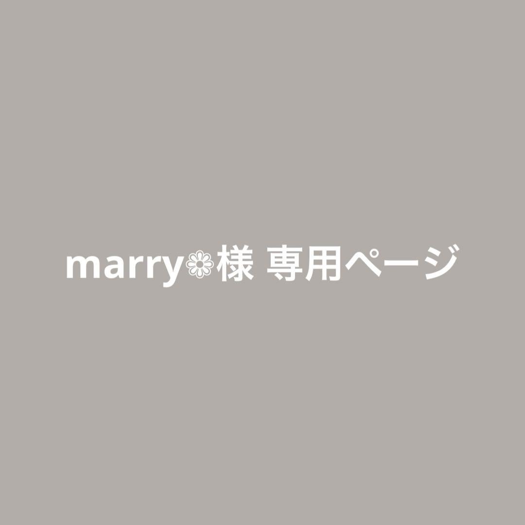 Marry★様 リクエスト 2点 まとめ商品 Merry様 リクエスト 2点 まとめ商品