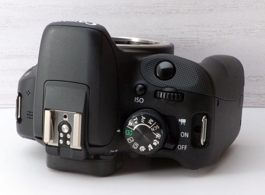 ★Canon EOS kiss X7★S数約1230回●美品●高速AF