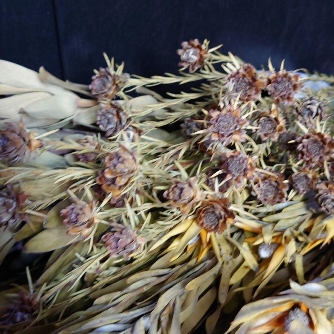 Misayo Utaro様専用ドライフラワーミックス - dloy.com.my