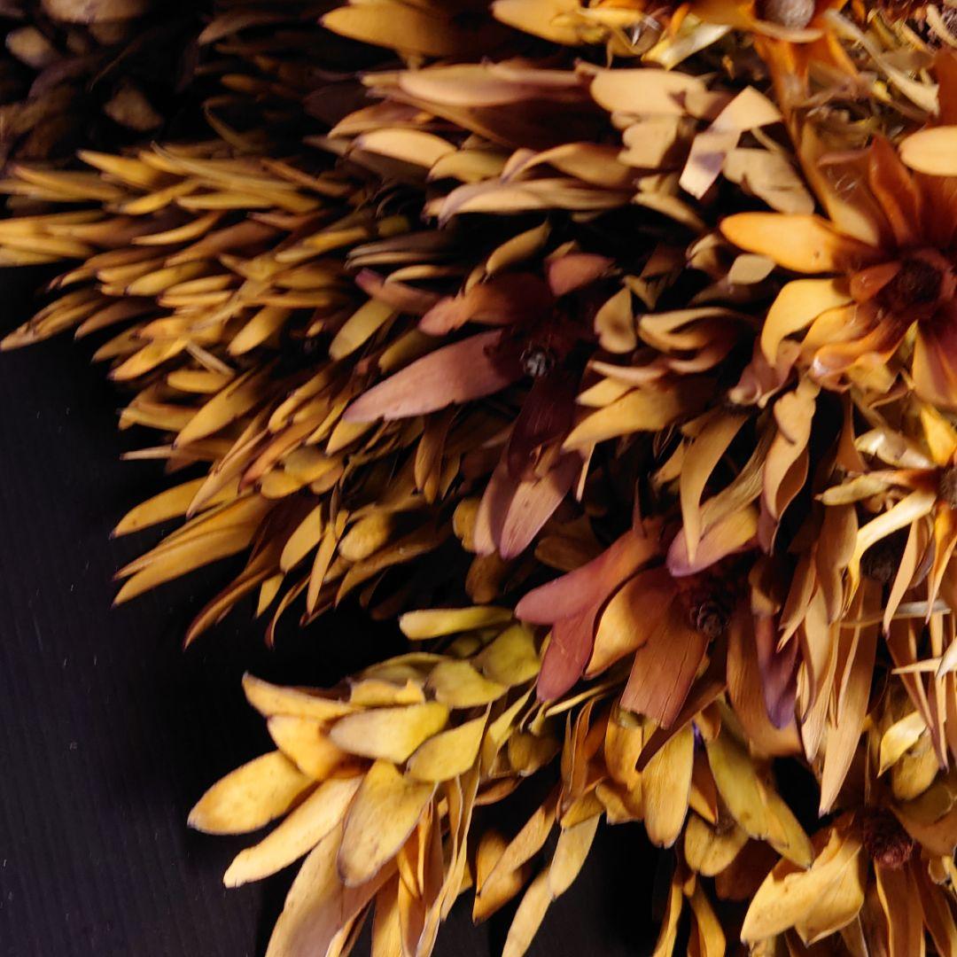 Misayo Utaro様専用ドライフラワーミックス - dloy.com.my