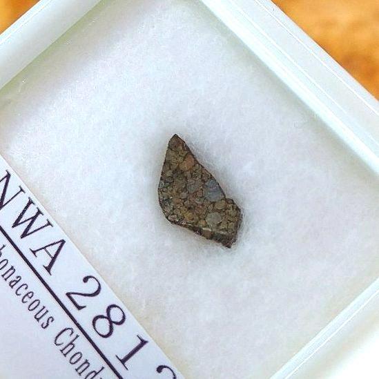 綺麗な炭素質コンドリュール NWA2812隕石標本