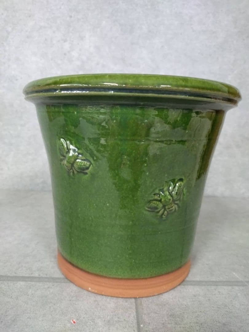 アームスコウトポット