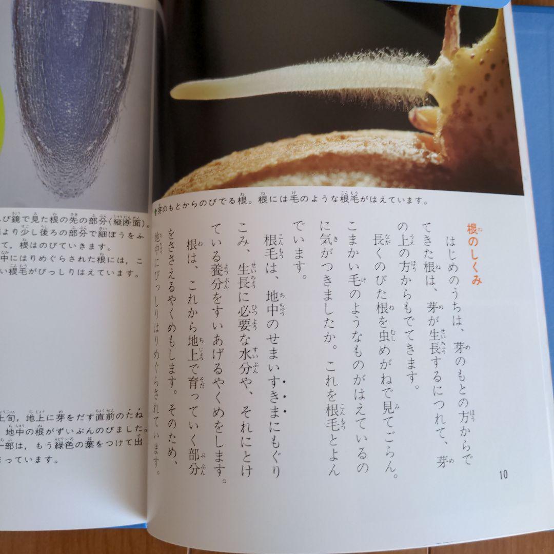 科学のアルバム