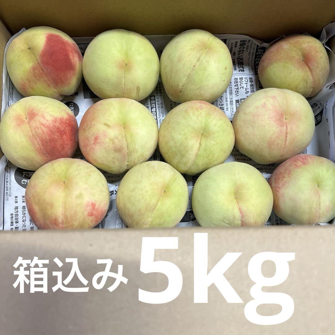 ⑧若桃 加工用 硬い桃