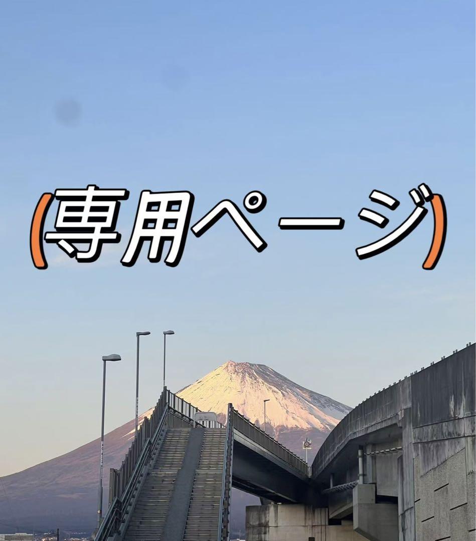 まぁちゃん様専用ページ」