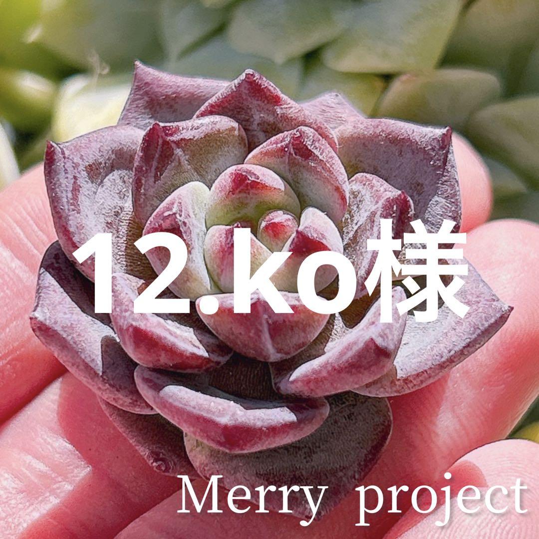 12.ko様