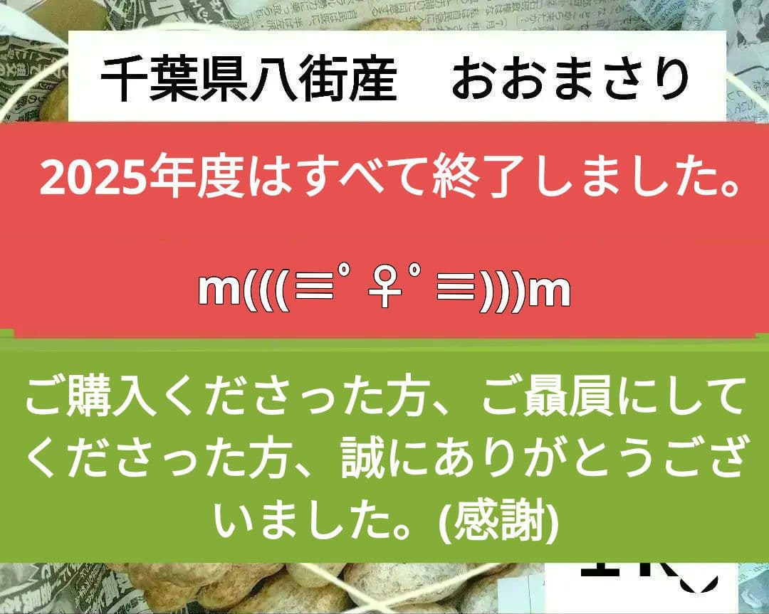 千葉県 八街産 掘りたて おおまさり 生落花生 1.5Kg