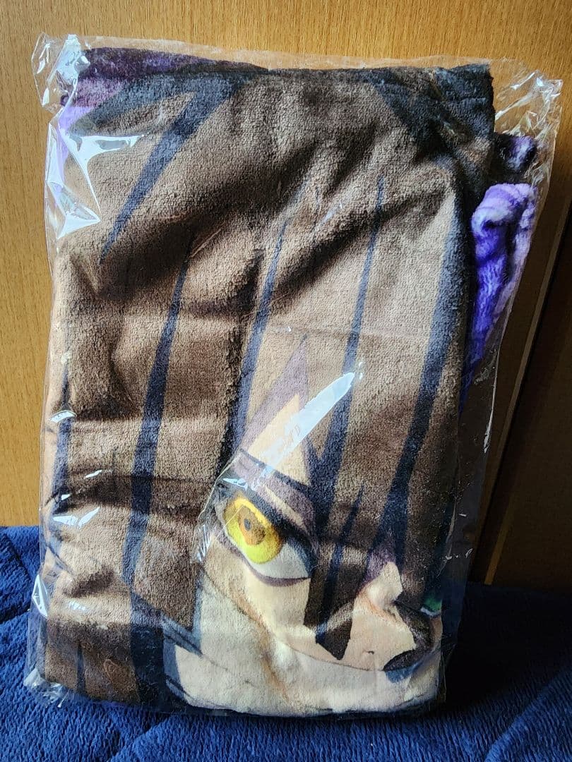 柱合会議ブランケット 伊黒小芭内