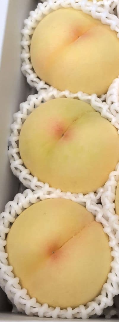 岡山県産 清水白桃ロイヤル 3個入り