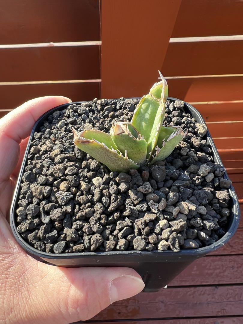 ❤