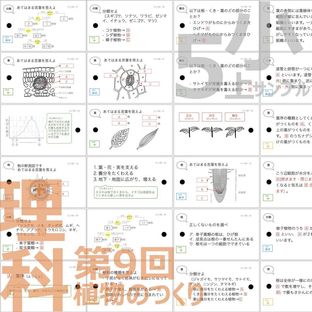 中学受験【5年上全セット 社会・理科 1-19回】組分けテスト対策 予習シリーズ