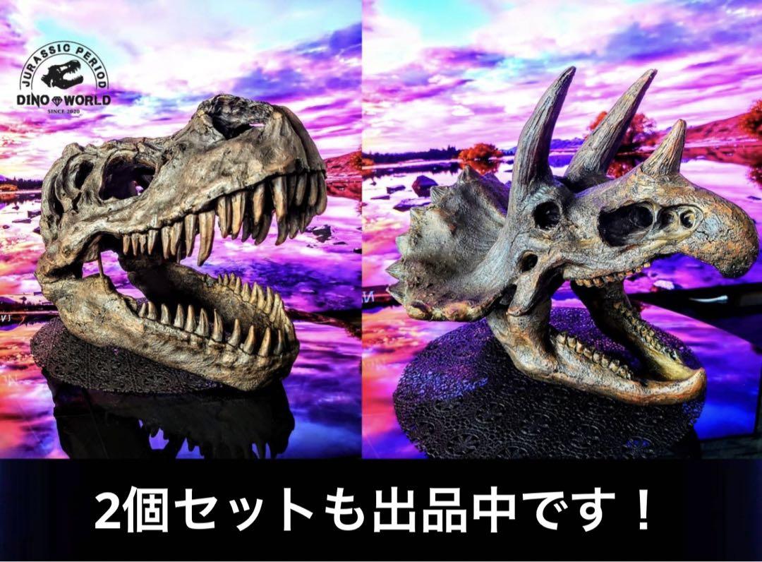 大迫力】恐竜の化石 頭骨レプリカ インテリアオブジェ