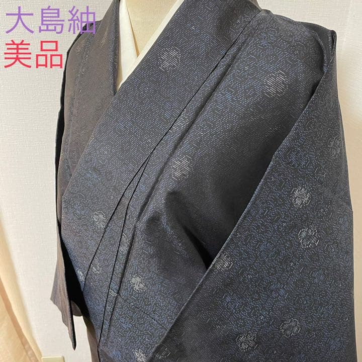 着物 大島紬 美品 袷