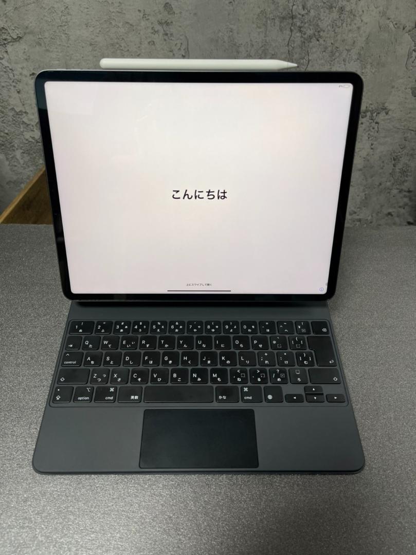 ごんさん専用 第5世代 セット zseCY-m97542512015 iPad Pro 得価超歓迎