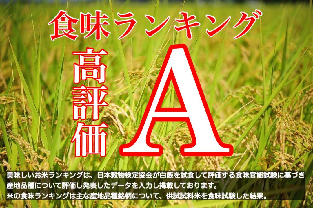 玄米10キロ【農家直送新米！】新潟県産こしいぶき　特別栽培米　6年産　低温冷蔵
