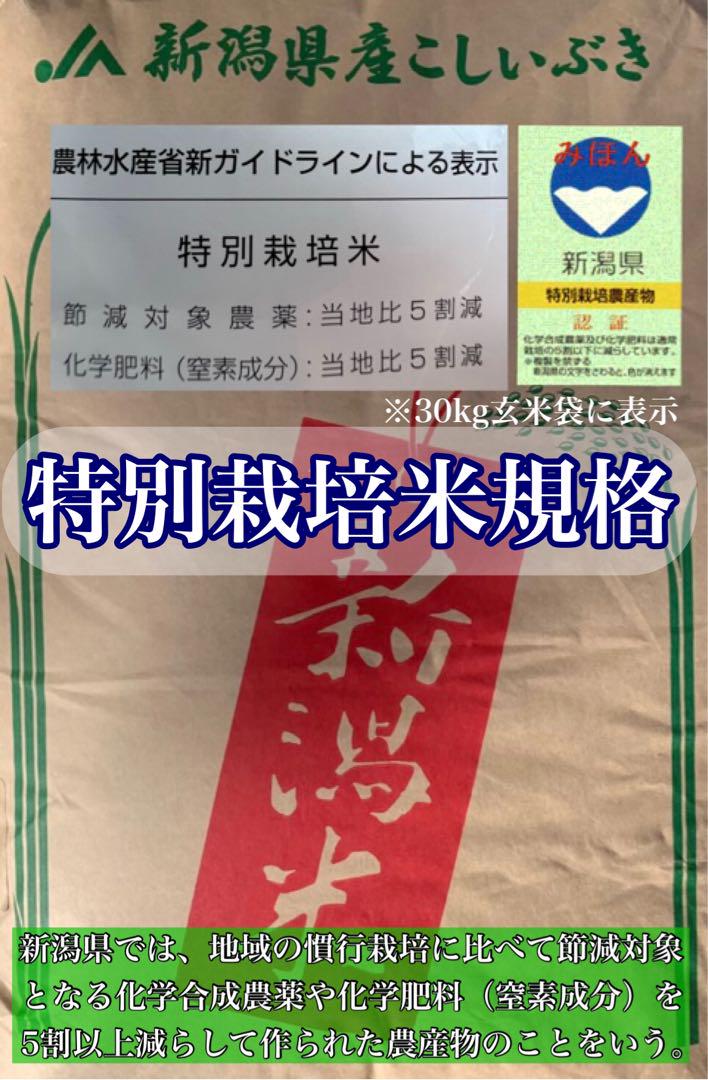 玄米10キロ【農家直送新米！】新潟県産こしいぶき　特別栽培米　6年産　低温冷蔵