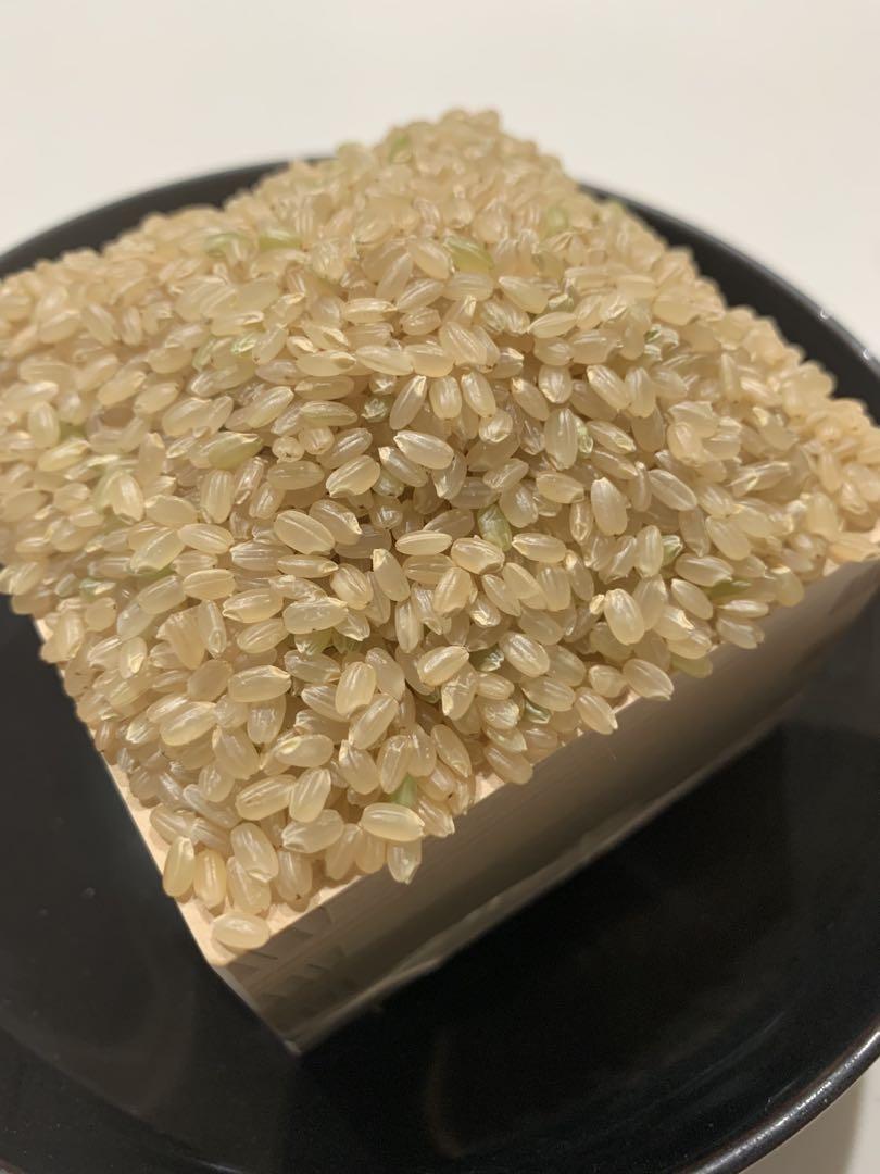 玄米10キロ【農家直送新米！】新潟県産こしいぶき　特別栽培米　6年産　低温冷蔵