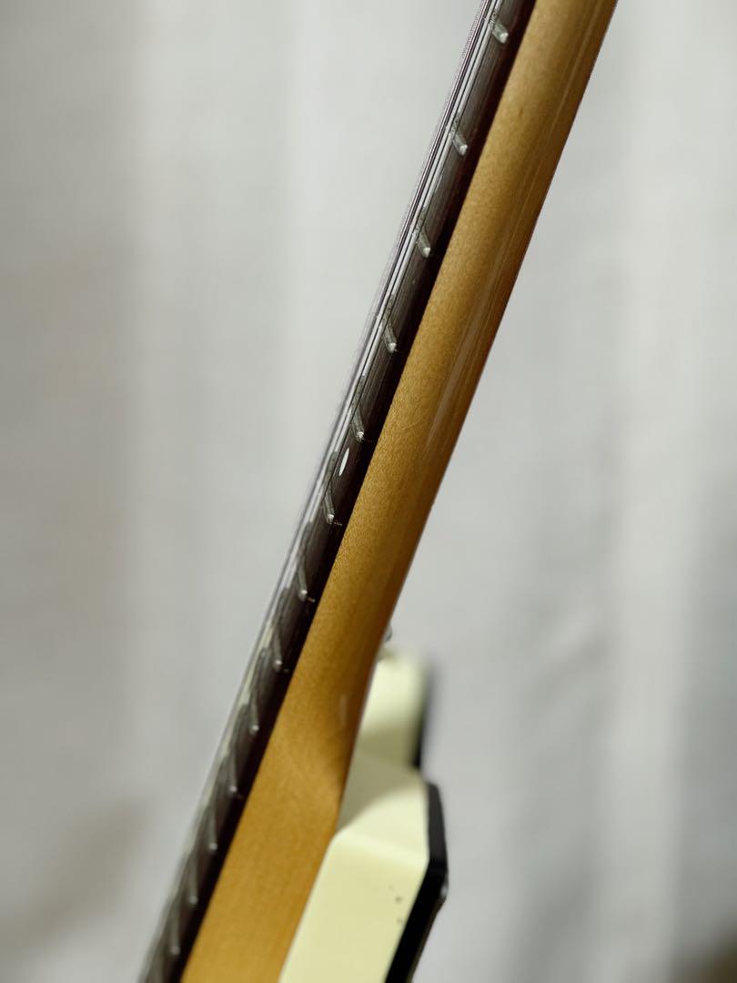 ギター J.W. Black Guitars JWB-JP-T