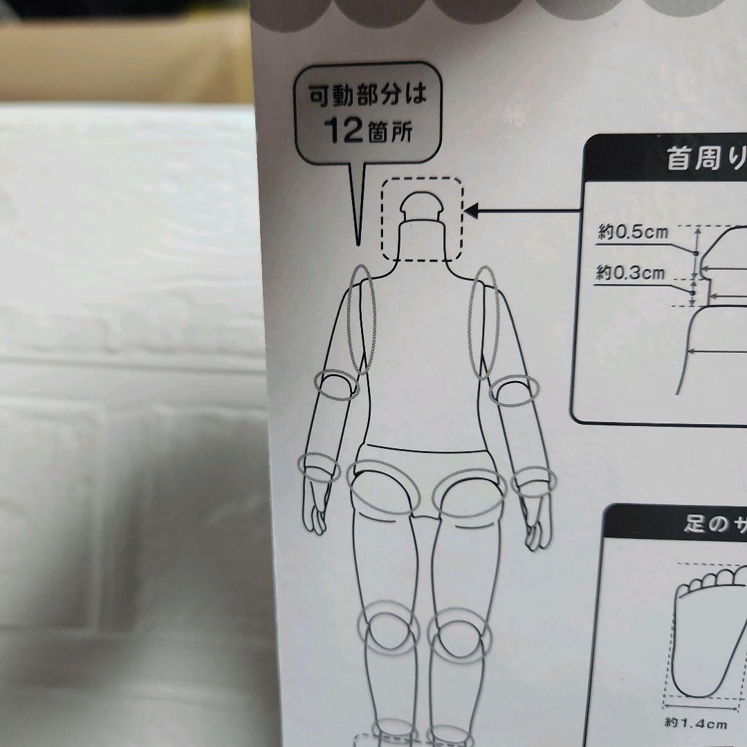 ⭐最終値下げ⭐Seria 人気 可動式ドールボディ 19cm 4個セット