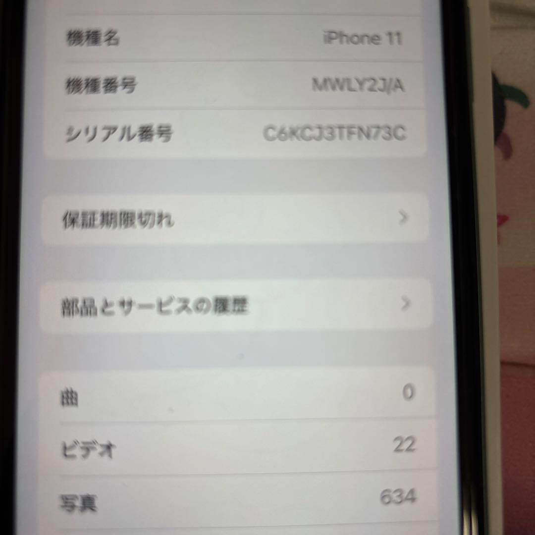 超美品 Apple iPhone 11 64GB ミントグリーン 本体と付属品