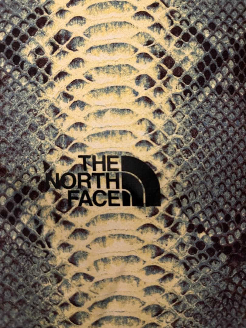 supreme north face スネークコーチジャケット 蛇柄M・SUPREME WWW_OLIVIERBERNSTEIN_COM