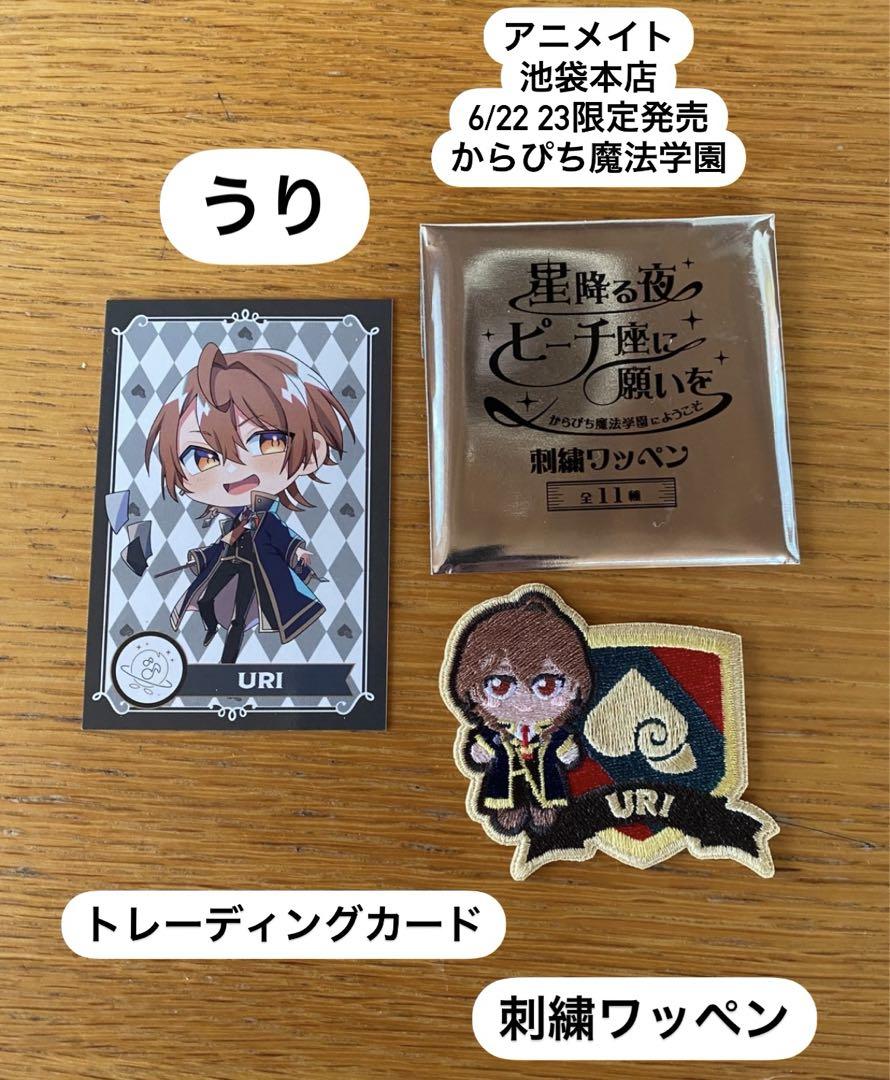 カラフルピーチからぴちうり魔法学園ワッペントレカマグネット