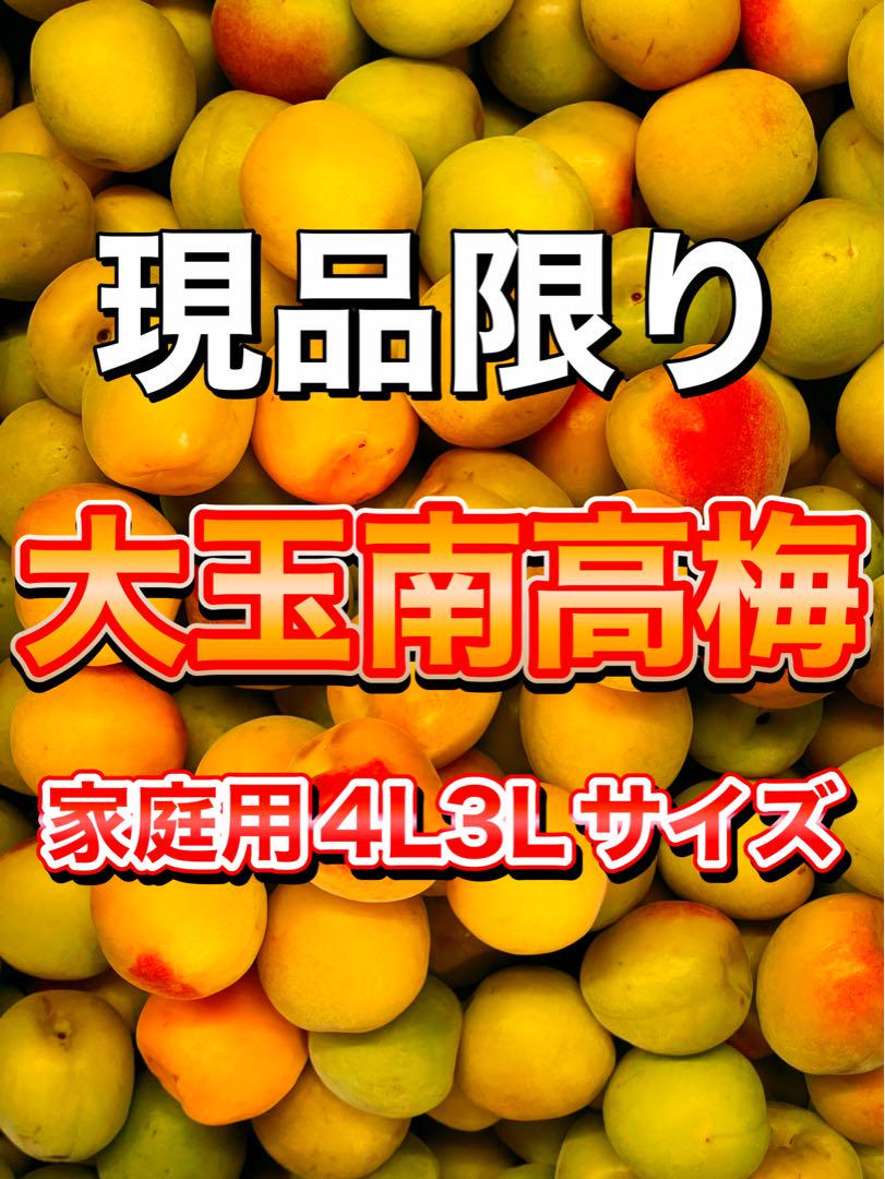家庭用‼️和歌山県産 大玉 南高梅 4L3Lサイズ 5kg みかんキング