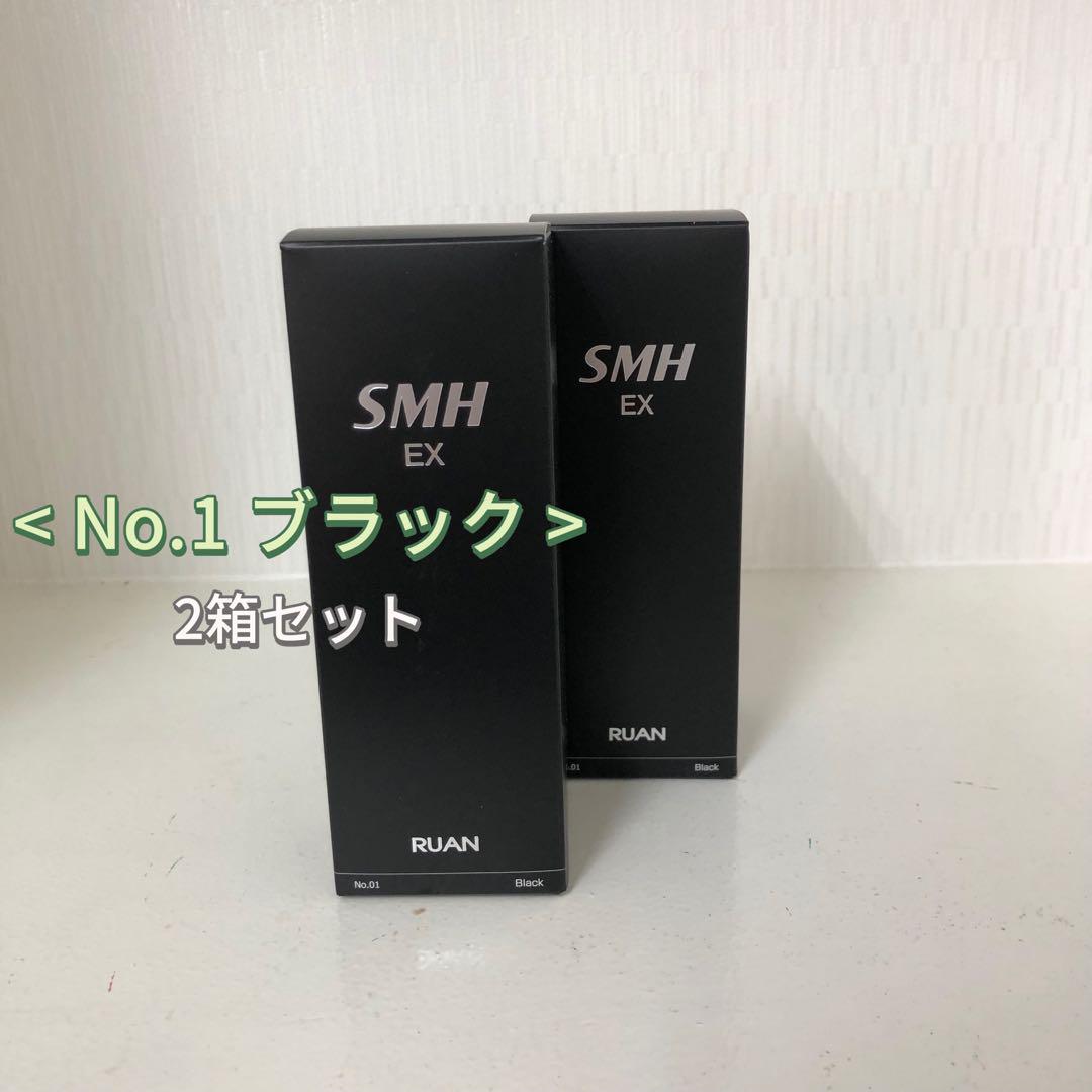 <新品> 2個 No.1 ブラック スーパーミリオンヘアー EX 20g ルアン