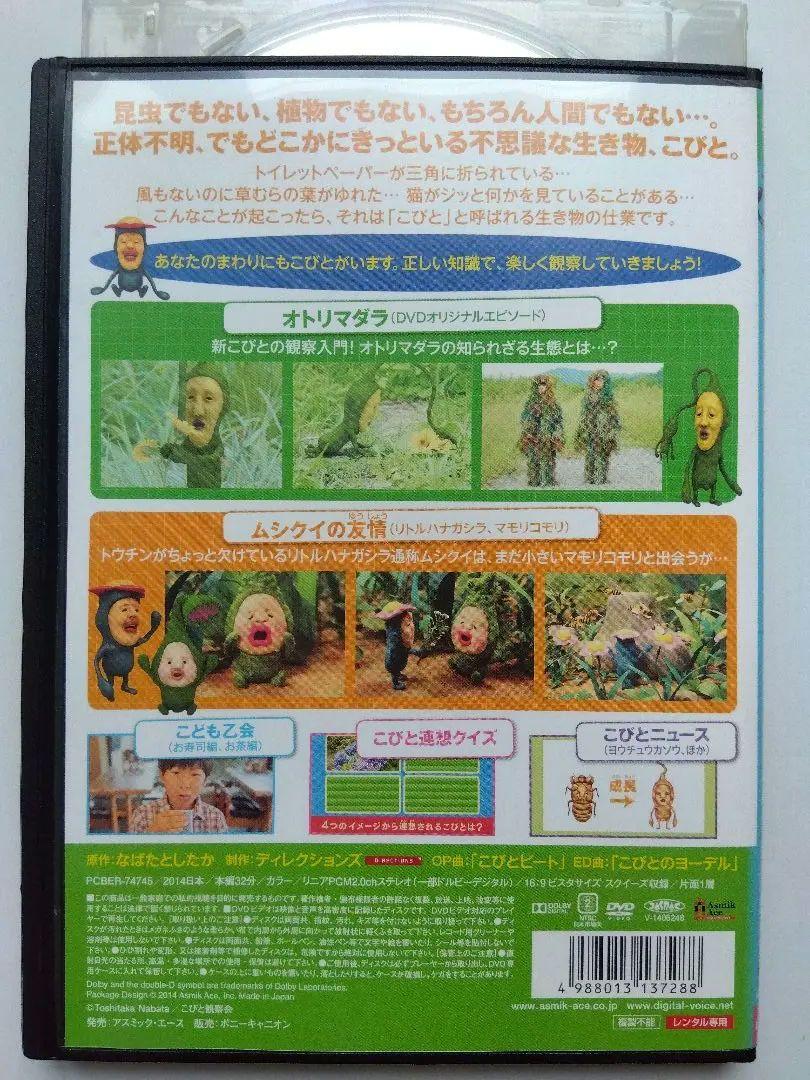 こびとずかん DVD 5本セット