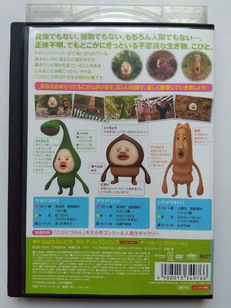 こびとずかん DVD 5本セット