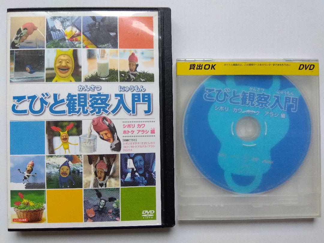 こびとずかん DVD 5本セット