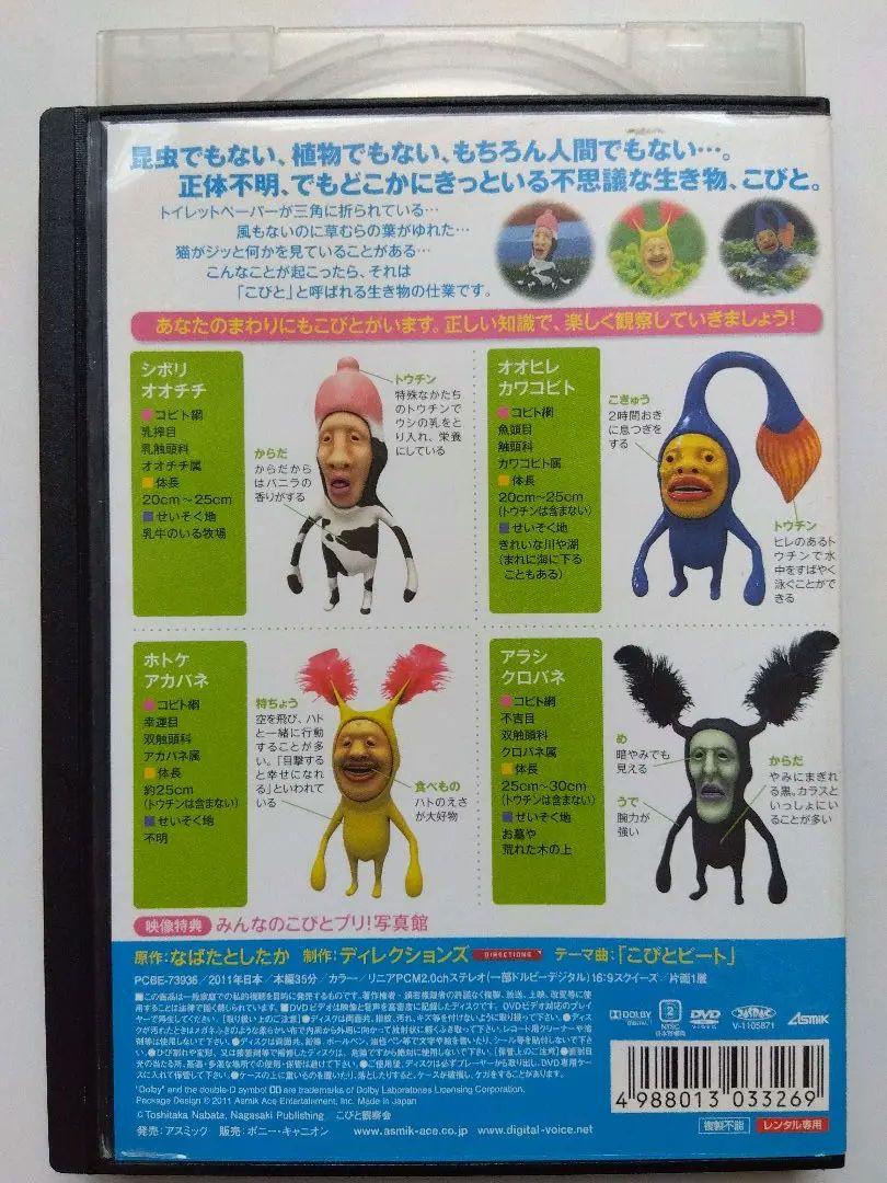 こびとずかん DVD 5本セット