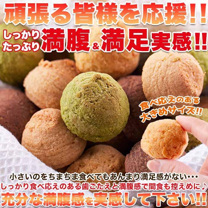 おから豆乳ソフトクッキー/3kg (250gx12) / 8/16