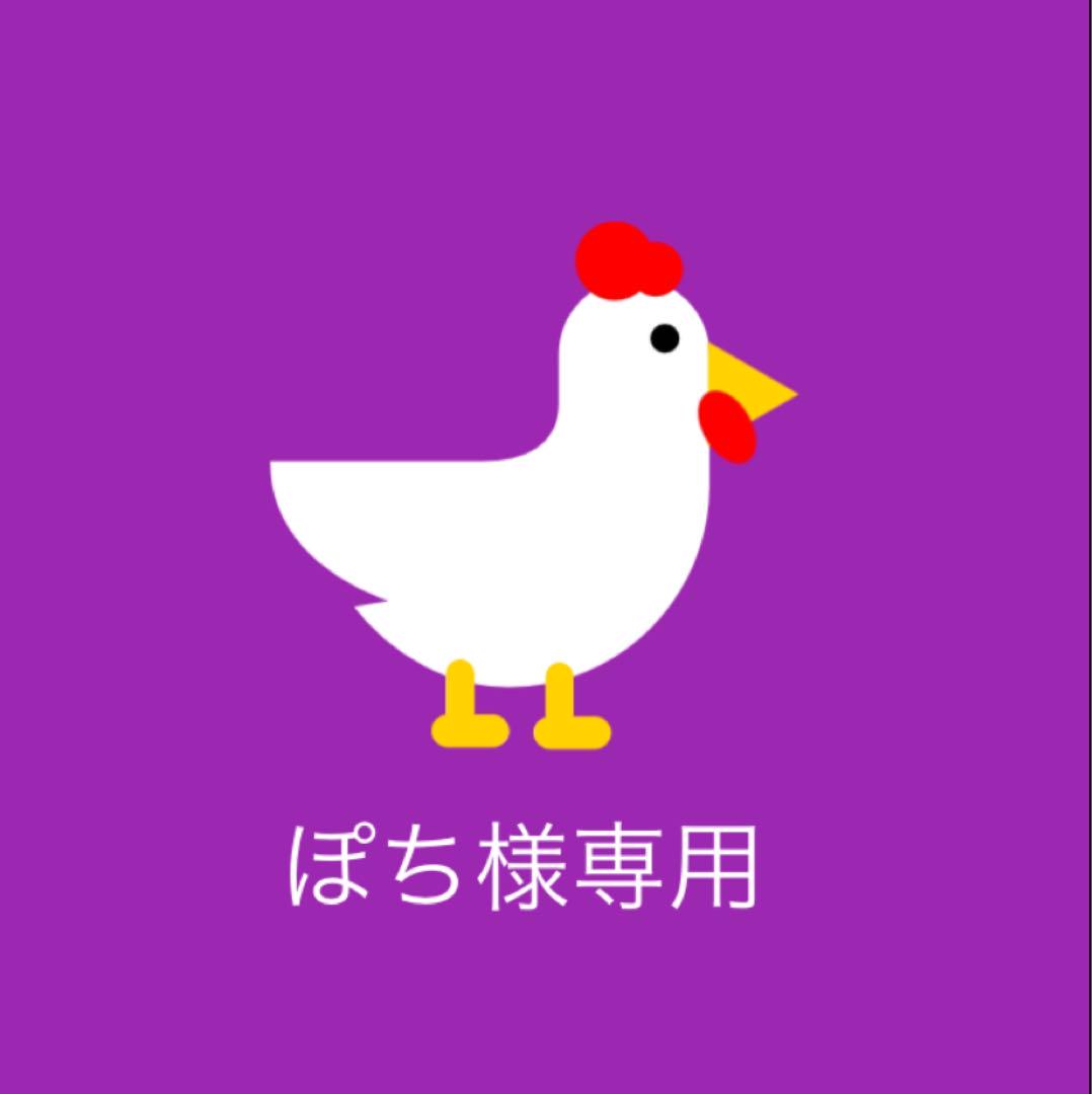 ⑥❁⃘*.゜ぽち様専用ページ❁⃘*.゜