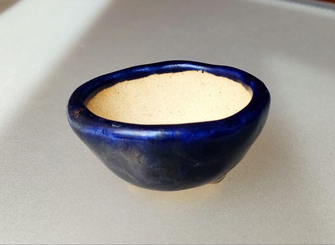 美品 宗像一蒼 ミニ盆栽鉢【直径4cm×高さ2.7cm】 宗像一蒼 ミニ盆栽鉢 - メルカリ