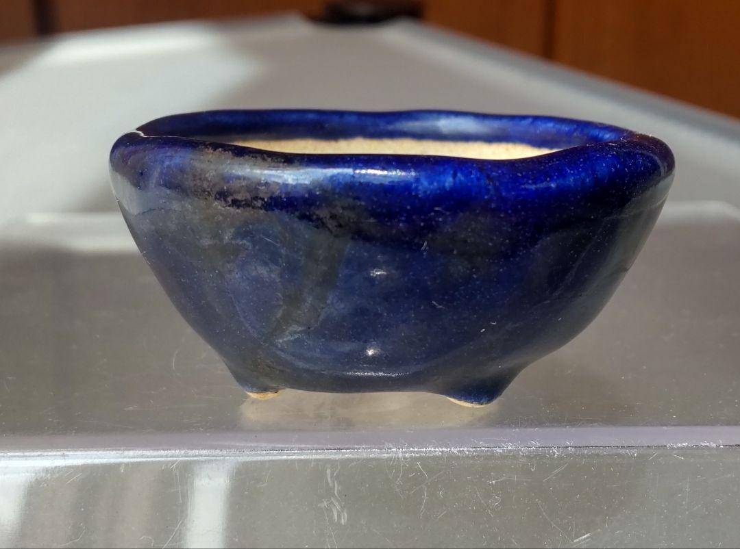美品　宗像一蒼 ミニ盆栽鉢【直径4.8cm×高さ3cm】 レア】宗像一蒼×大島まゆみコラボ ミニ盆栽鉢