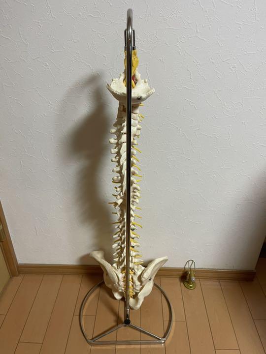 ガリアスさま専用