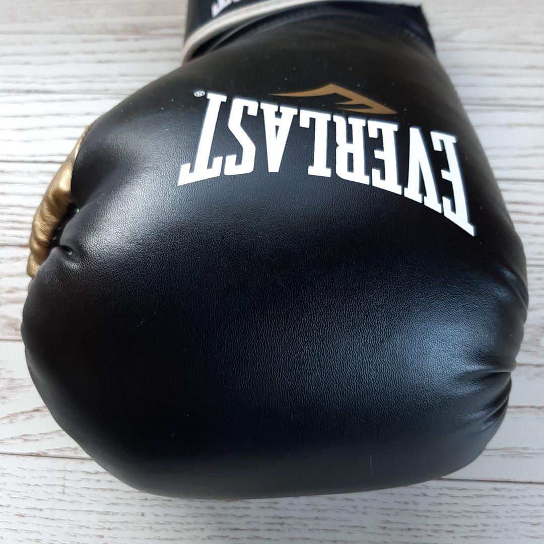 EVERLAST PowerLock フックアンドループトレーニンググローブ16